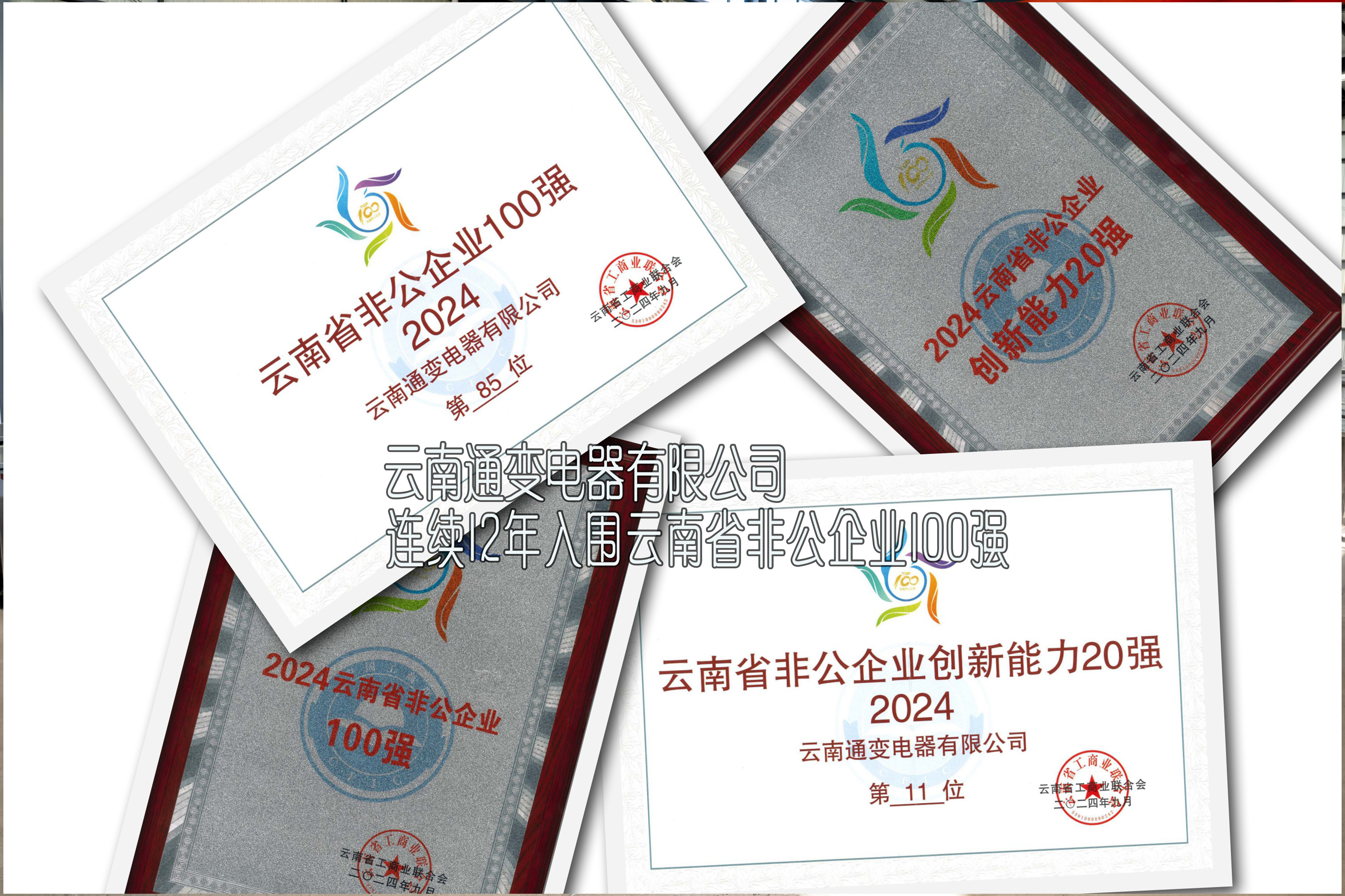 云南通變電器有限公司連續(xù)12年入圍“云南省非公企業(yè)100強(qiáng)”